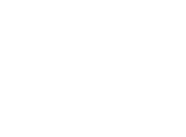 piecesaubaines-bargainparts-Blanc-01_bon