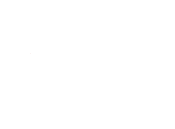piecesaubaines-bargainparts-Blanc-01_bon