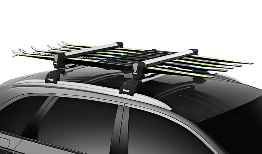 Ski/Snowboard Carrier