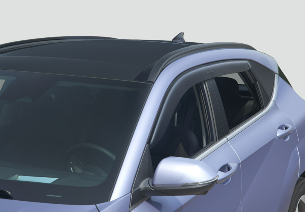 Side Visors