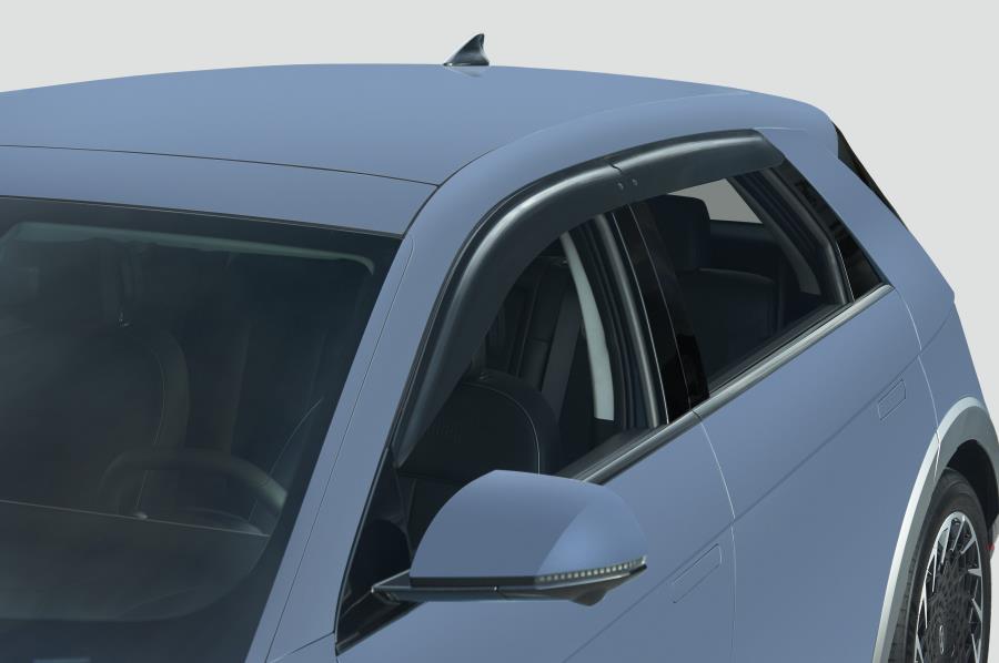 Side Visors